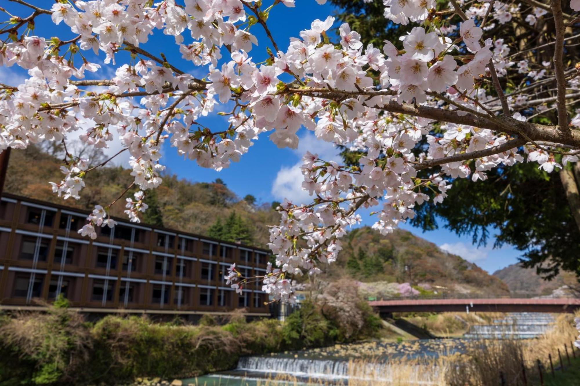 Hotel Indigo Hakone Gora By Ihg Exterior photo